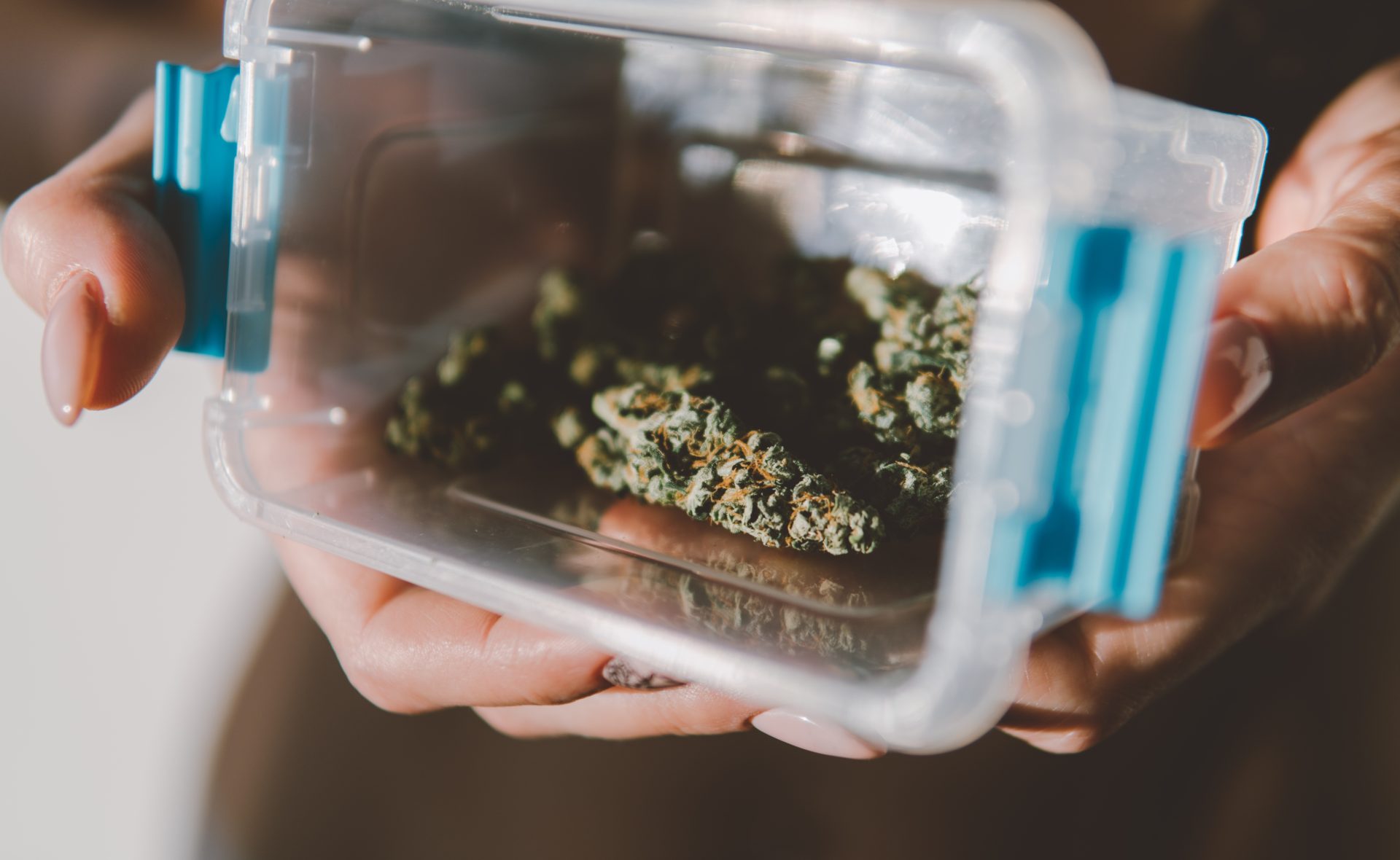 Can I Take Cannabis Gummies On An Airplane Can I Take Marijuana on an Airplane in Colorado?